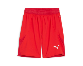 Puma TEAMFINAL SHORTS