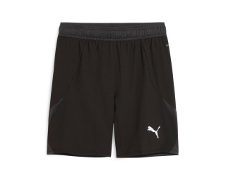 Puma TEAMFINAL SHORTS