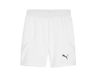 Puma TEAMFINAL SHORTS