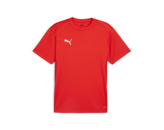 Puma TEAMGOAL JERSEY