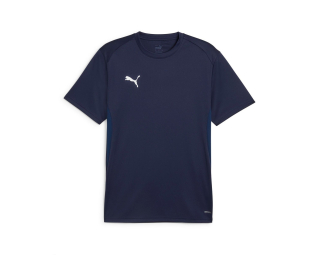 Puma TEAMGOAL JERSEY