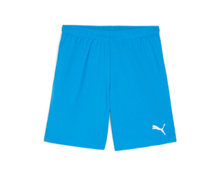 Puma TEAMGOAL SHORTS