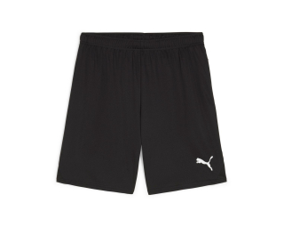 Puma TEAMGOAL SHORTS