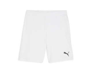 Puma TEAMGOAL SHORTS