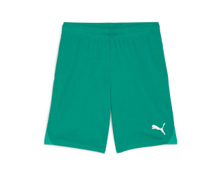 Puma TEAMGOAL SHORTS