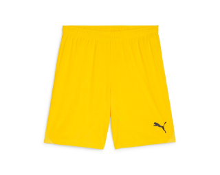 Puma TEAMGOAL SHORTS