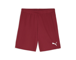 Puma TEAMGOAL SHORTS