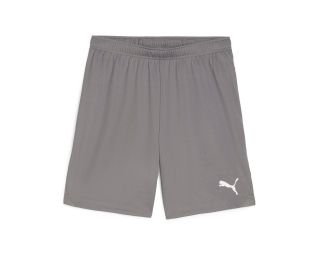 Puma TEAMGOAL SHORTS