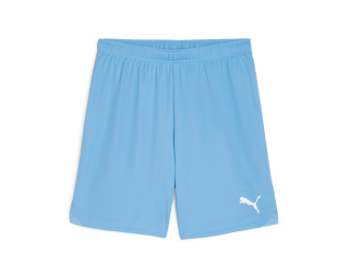 Puma TEAMGOAL SHORTS