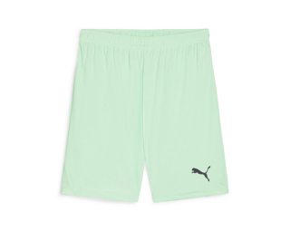 Puma TEAMGOAL SHORTS