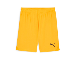 Puma TEAMGOAL SHORTS