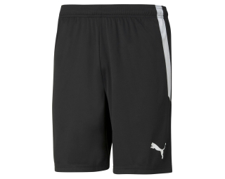 Puma TEAMLIGA SHORTS