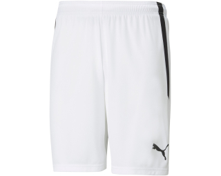 Puma TEAMLIGA SHORTS