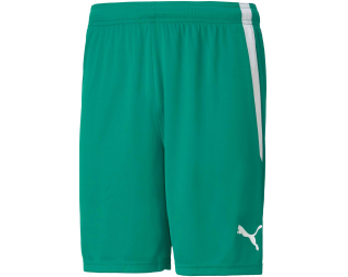 Puma TEAMLIGA SHORTS