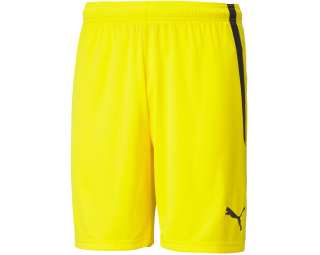 Puma TEAMLIGA SHORTS