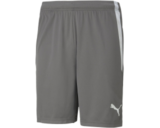 Puma TEAMLIGA SHORTS