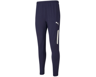 Puma TEAMLIGA TRAINING PANTS PRO