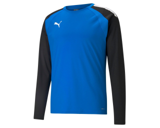 Puma TEAMLIGA TRAINING SWEAT