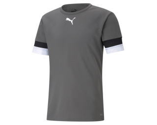 Puma TEAMRISE JERSEY