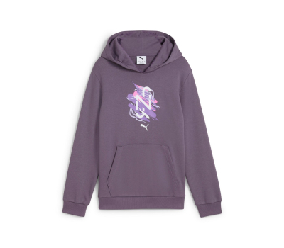 Kids leisure sweatshirt Puma EVOSTRIPE FULL-ZIP HOODIE K