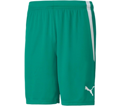 Under Armour Victory Green Shorts YLG - Kidzmax