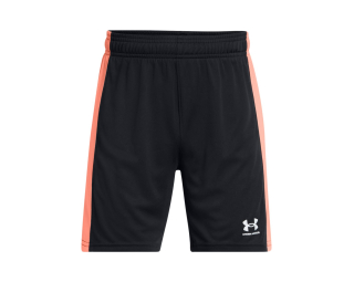 Under Armour B CH. KNIT SHORT