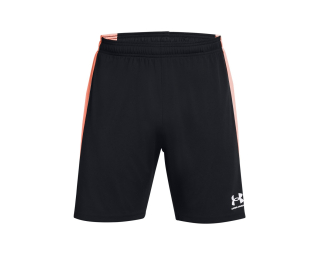 Under Armour CH. KNIT SHORT